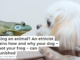 Training an animal? An ethicist explains how and why your dog − but not your frog − can be punished