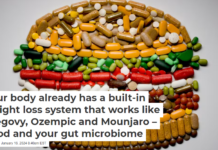 Your body already has a built-in weight loss system that works like Wegovy, Ozempic and Mounjaro – food and your gut microbiome