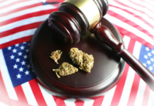 Amid growing legalization, cannabis in culture and politics is the focus of this anthropology course