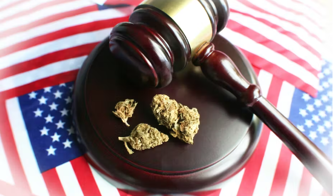 Amid growing legalization, cannabis in culture and politics is the focus of this anthropology course