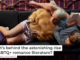 What’s behind the astonishing rise in LGBTQ+ romance literature?