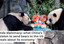 Panda diplomacy: what China’s decision to send bears to the US reveals about its economy
