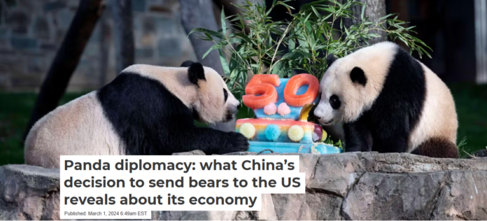 Giant panda cub Xiao Qi Ji and its mother Mei Xiang at the Smithsonian zoo in Washington DC on April 16 2022 when events were held to mark the 50th anniversary of the giant panda programme there. Imago/Alamy
