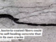 Thin, bacteria-coated fibers could lead to self-healing concrete that fills in its own cracks
