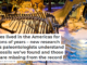 Horses lived in the Americas for millions of years – new research helps paleontologists understand the fossils we’ve found and those that are missing from the record