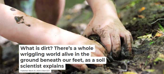 Dig into soil and you’ll find rock dust but also thousands of living species. ChristinLola/iStock/Getty Images Plus
