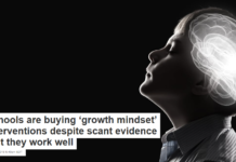 Schools are buying ‘growth mindset’ interventions despite scant evidence that they work well