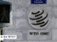 What is the WTO?