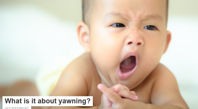 What is it about yawning?
