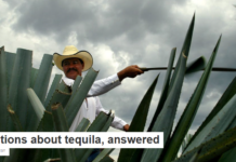3 questions about tequila, answered