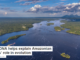 Bird DNA helps explain Amazonian rivers’ role in evolution