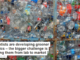 Scientists are developing greener plastics – the bigger challenge is moving them from lab to market