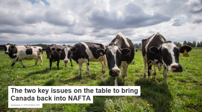 The two key issues on the table to bring Canada back into NAFTA