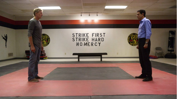 Cobra Kai: Karate Kid spin-off is a social parable for our times