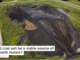 Could coal ash be a viable source of rare-earth metals?