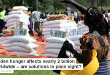 Hidden hunger affects nearly 2 billion worldwide – are solutions in plain sight?