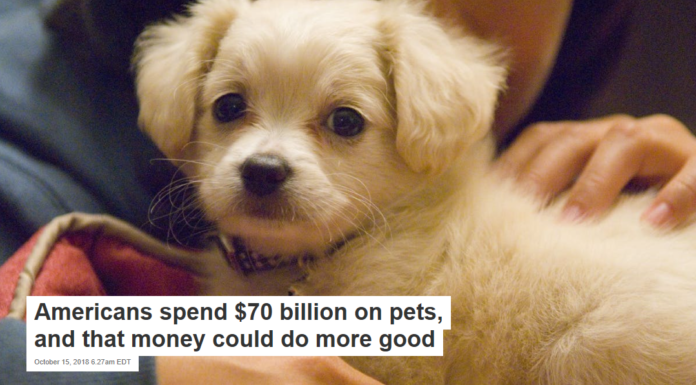 Americans spend $70 billion on pets, and that money could do more good