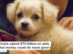 Americans spend $70 billion on pets, and that money could do more good