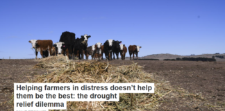 Helping farmers in distress doesn’t help them be the best: the drought relief dilemma