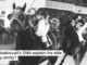 Can Seabiscuit’s DNA explain his elite racing ability?