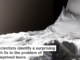 Neuroscientists identify a surprising low-tech fix to the problem of sleep-deprived teens