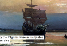 Why the Pilgrims were actually able to survive