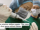 Rogue science strikes again: The case of the first gene-edited babies