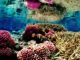 Pacific Remote Islands protection not just a drop in the ocean