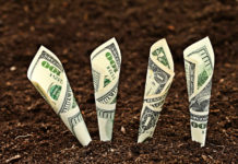 An economy focused solely on growth is environmentally and socially unsustainable