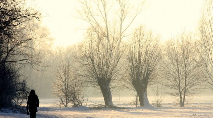 Explainer: what is seasonal affective disorder?