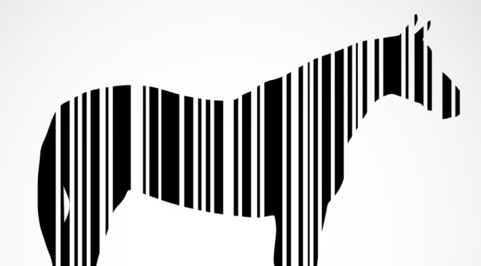 Is big data heading for its ‘horsemeat moment’?