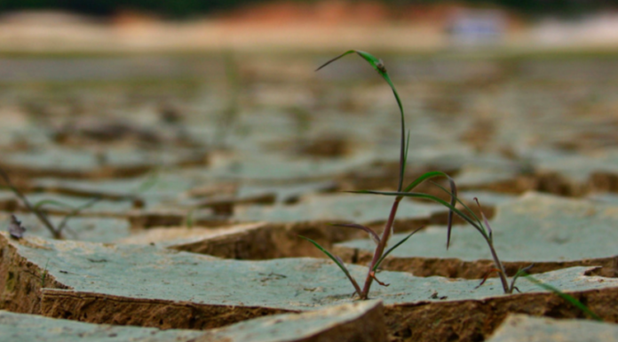 Megacity drought: Sao Paulo withers after dry ‘wet season’