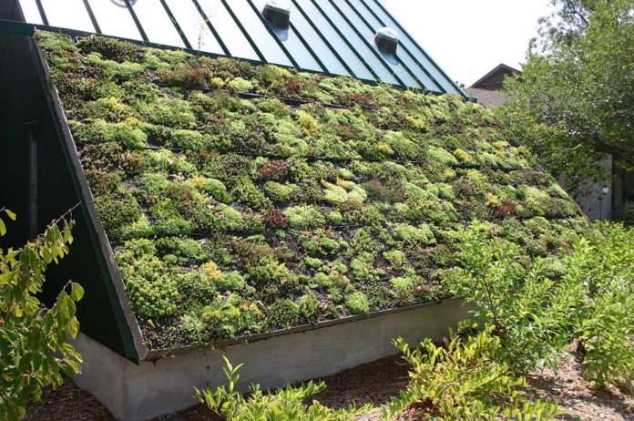 How did this roof become green? Ryan Somma, CC BY-SA