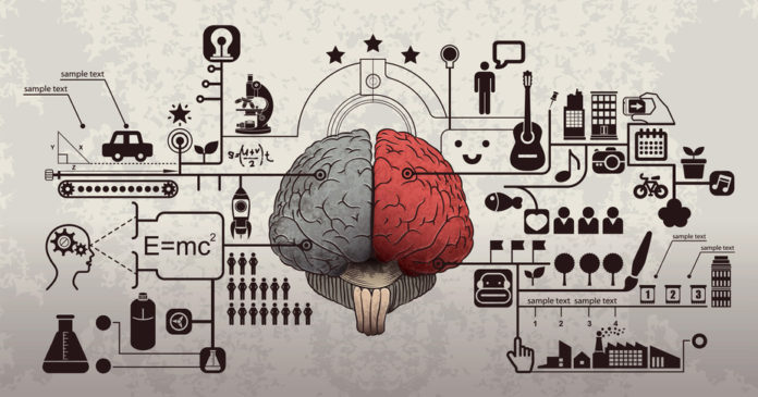 How does the brain take in information? via www.shutterstock.com