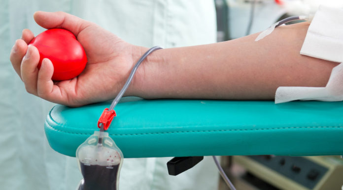 Bleed me: why excess iron can be dangerous