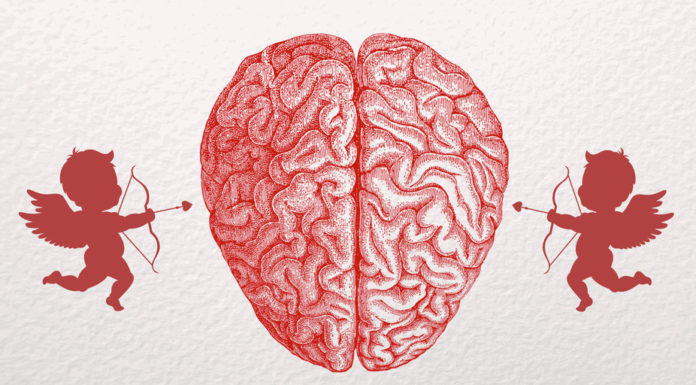 Darling, I love you … from the bottom of my brain