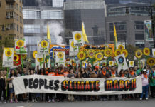 Will the true voice on climate change please stand up?