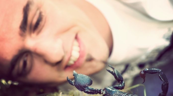 How scorpion venom could yield new cancer treatment