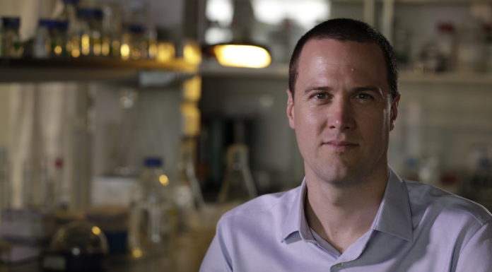 Epigenetic code cracker: why skin cells are skin cells and not neurons