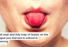That neat and tidy map of tastes on the tongue you learned in school is all wrong