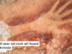 40,000 year old rock art found in Indonesia