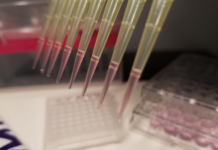 Can the study of epigenomics lead to personalized cancer treatment?