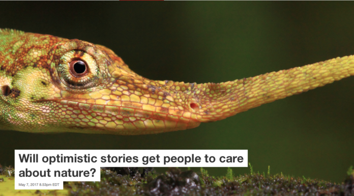 Will optimistic stories get people to care about nature?