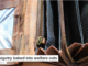 The bigotry baked into welfare cuts
