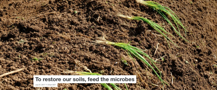 Tamotsu Ito/Shutterstock.com