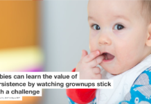 Babies can learn the value of persistence by watching grownups stick with a challenge
