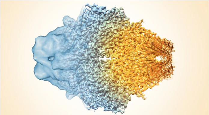 Chilled proteins and 3-D images: The cryo-electron microscopy technology that just won a Nobel Prize