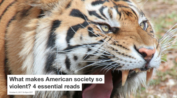 What makes American society so violent? 4 essential reads