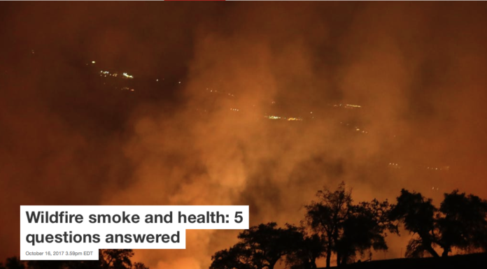Wildfire smoke and health: 5 questions answered