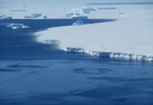 Study predicts multi-meter sea level rise this century, but not everyone agrees